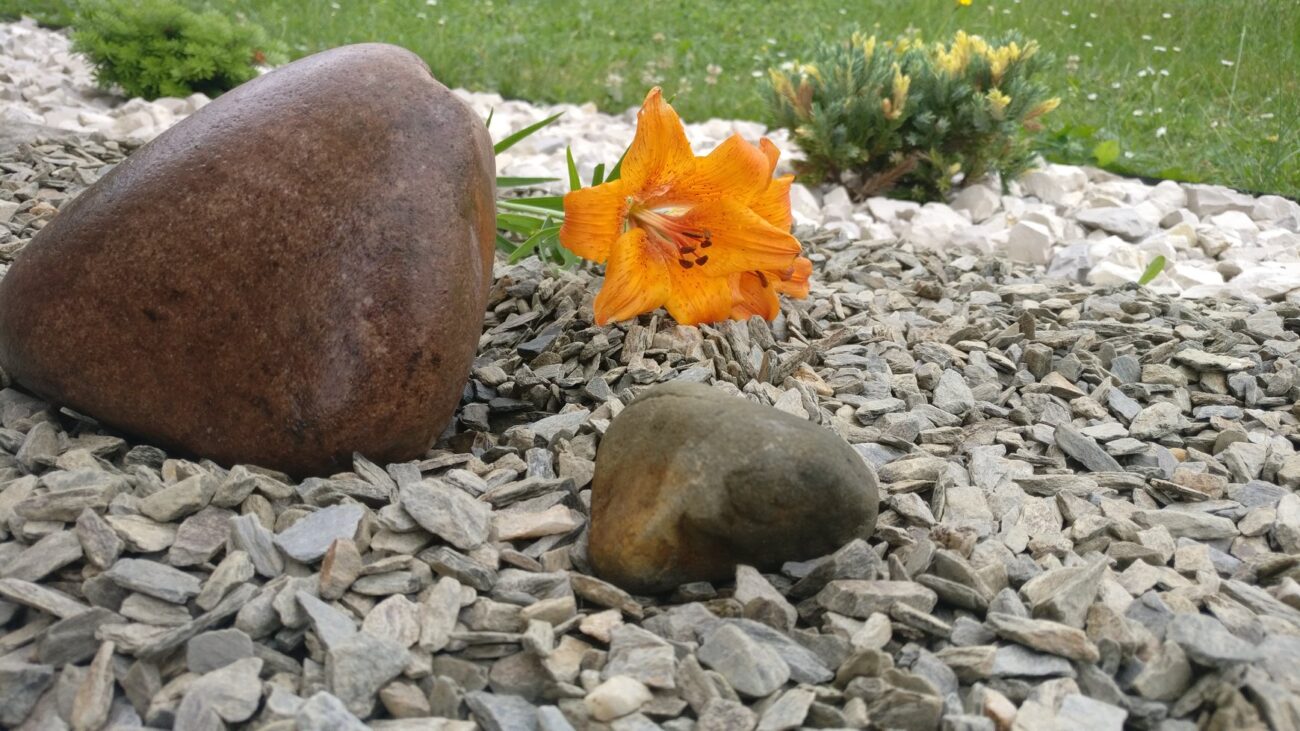 kamień ozdobny do ogrodów